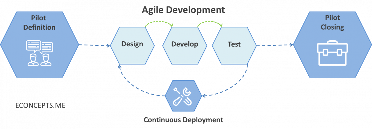 Pilot Implementation